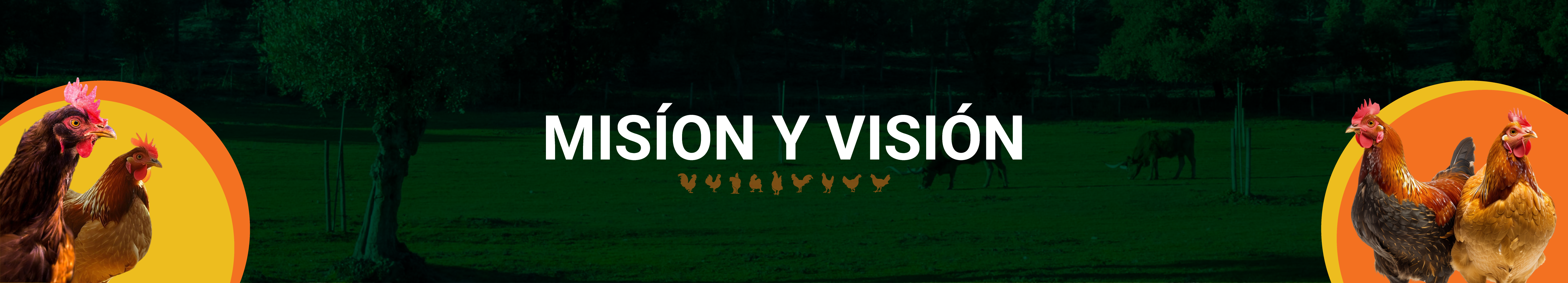 Banner de Misión y Visión